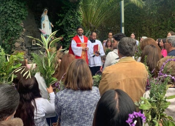 Viviendo, mirando y amando al Señor en cada día santo