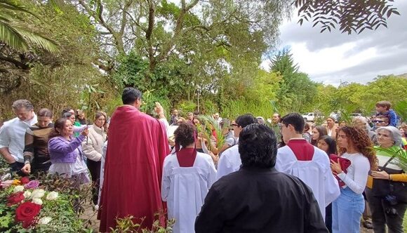 Recibimos a nuestro Rey, en medio de palmas y alabanzas Recibimos a nuestro Rey, en medio de palmas y alabanzas